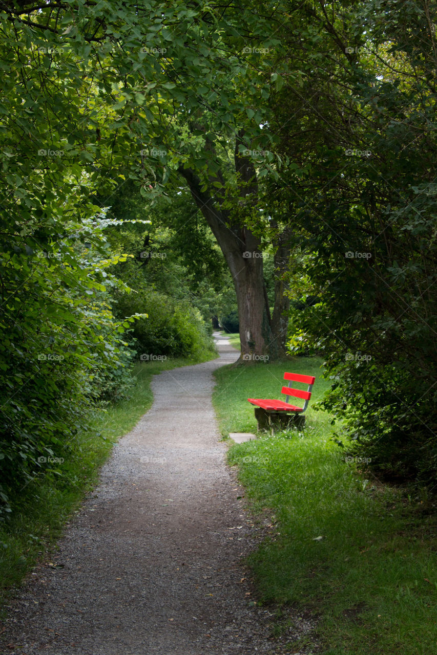 Red bench at a park