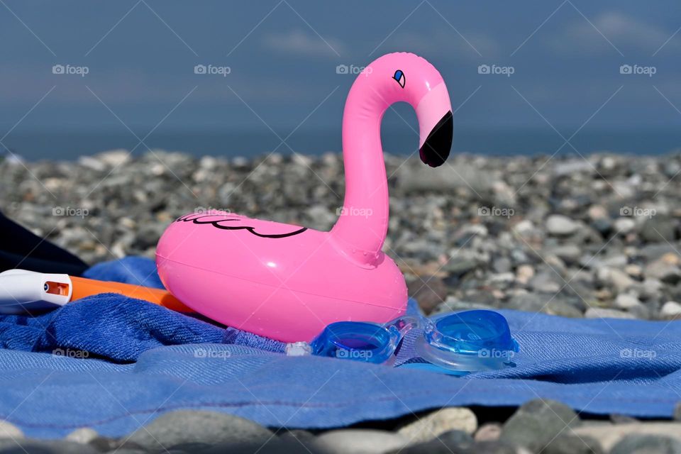 Pink flamingo 