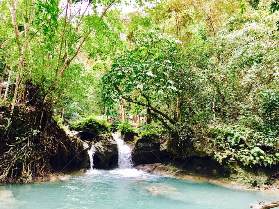 Kawasan Falls in Badian, Cebu.
kawasan falls Cebu is a peaceful natural place where you can enjoy many waterfalls of natural spring water located near the southern tip of Cebu Philippines.