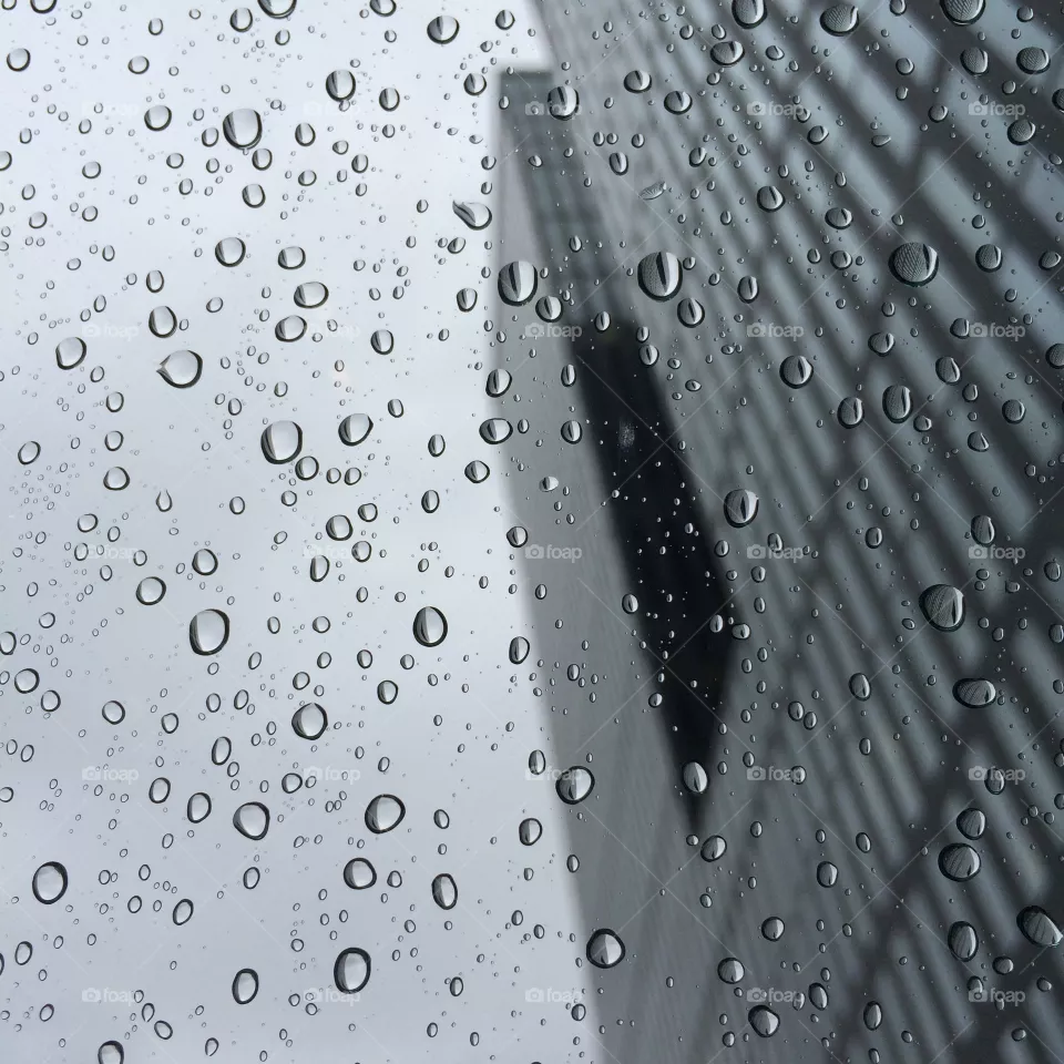 Rain. Drops