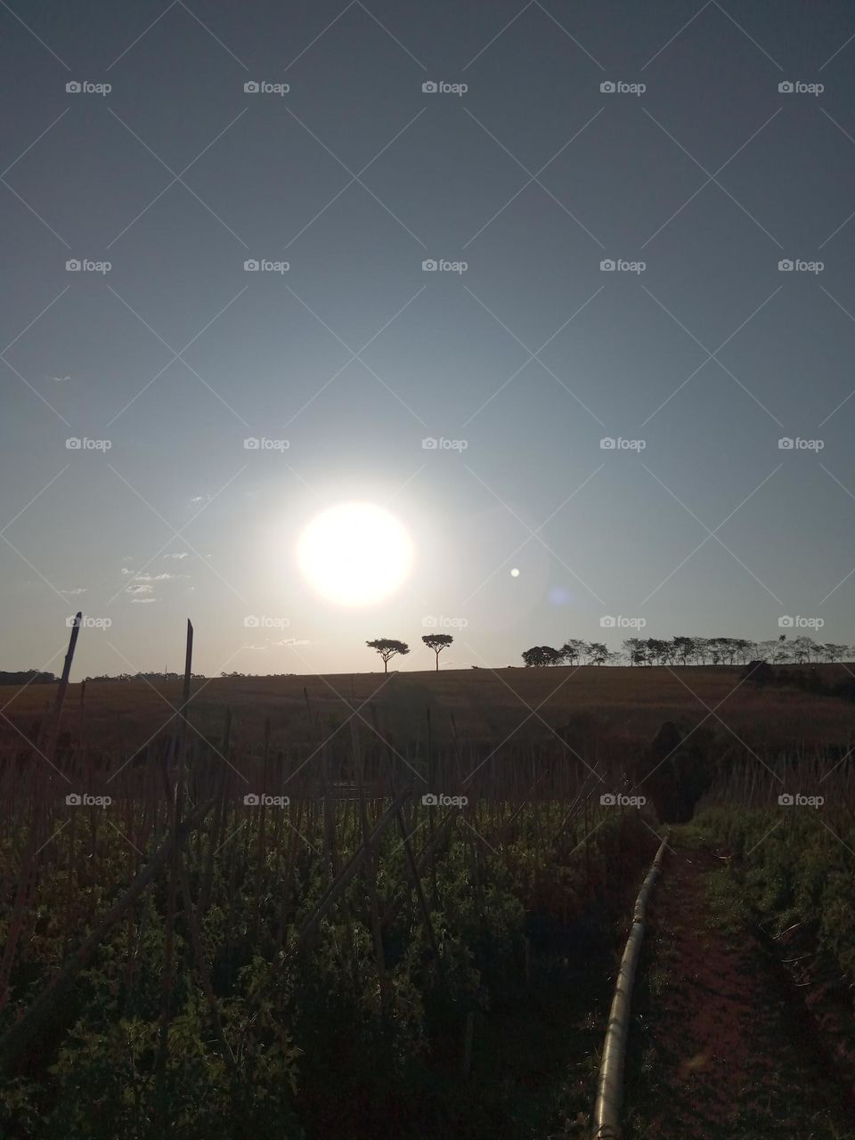 One more special day!!!