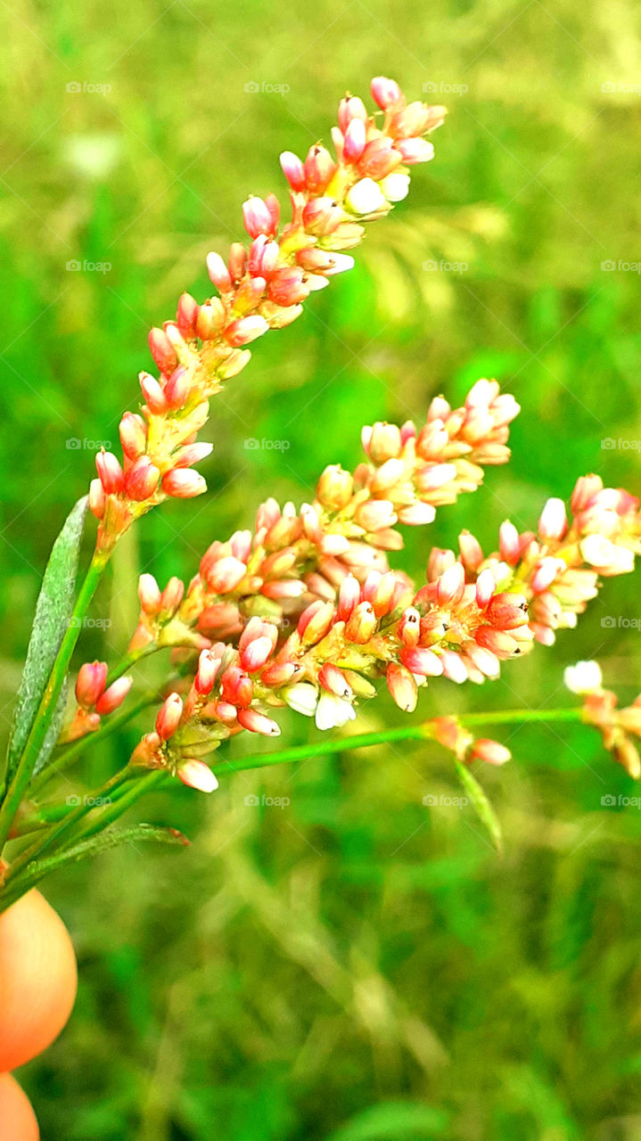 ᴛʜɪs ɪs ᴀ ʙᴇᴀᴛɪғᴜʟ? ᴘʟᴇᴀsᴇ 5 sᴛᴀʀs :)