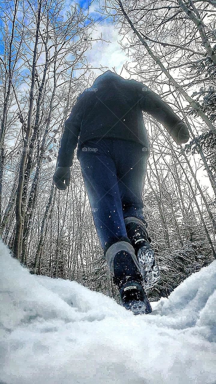 A snowy morning walk through the forest.