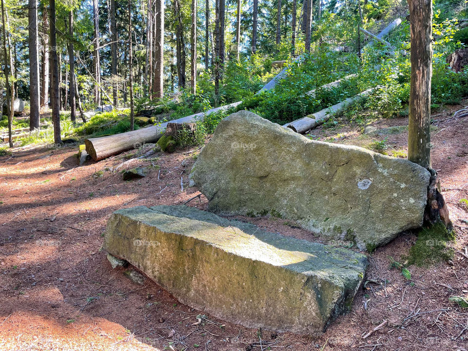 Natural stone bench in forest.