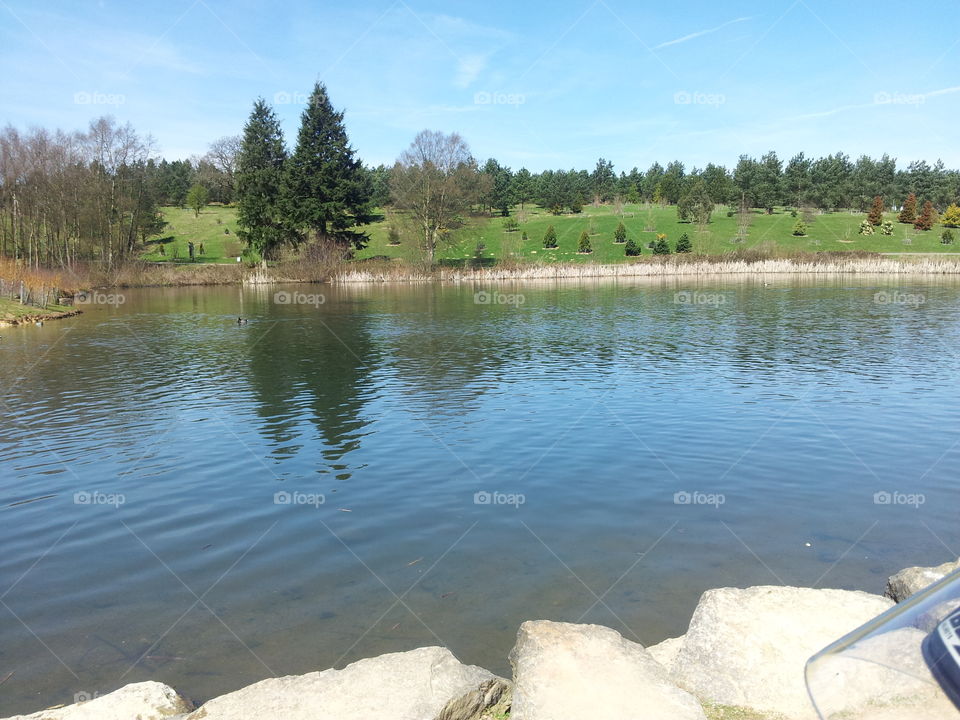 Water, Lake, River, Tree, No Person