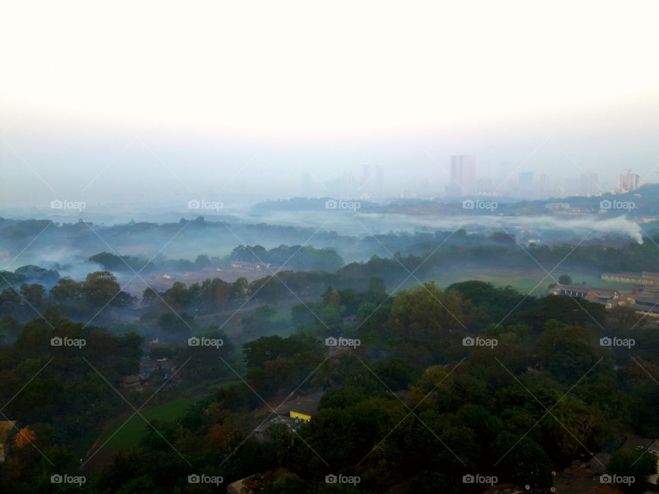 Landscape, Fog, Mountain, Tree, Travel