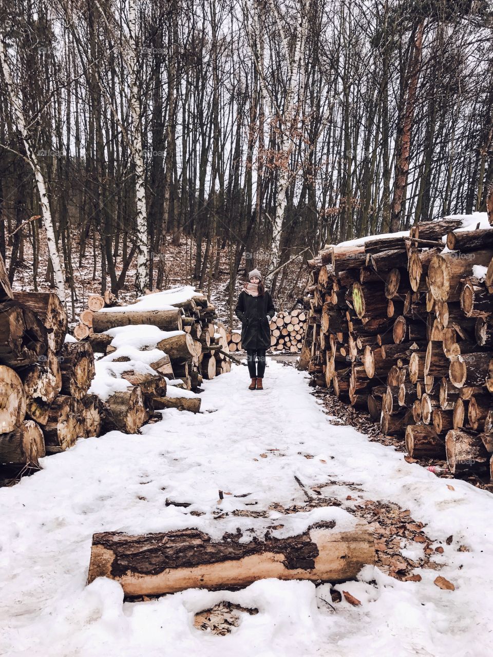 Winter, Snow, Wood, Tree, Cold