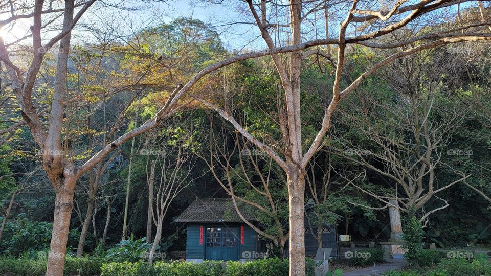 There are wooden houses with red Spring Festival couplets in the forest