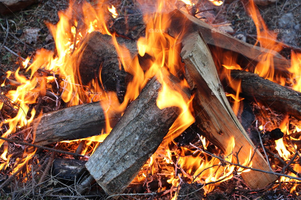 Campfire