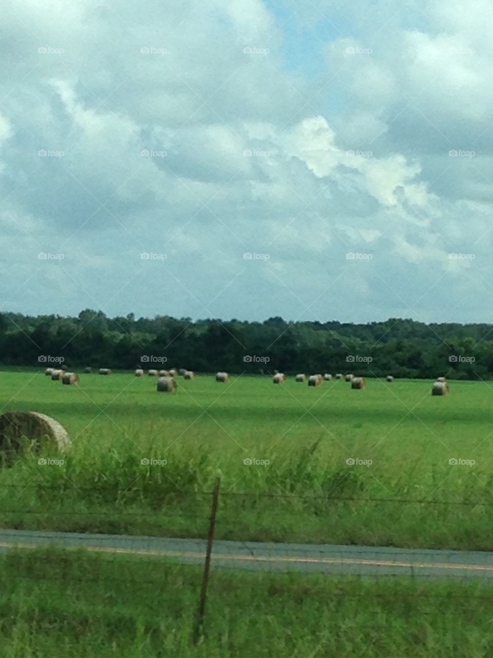 Field, grass, hay, sky