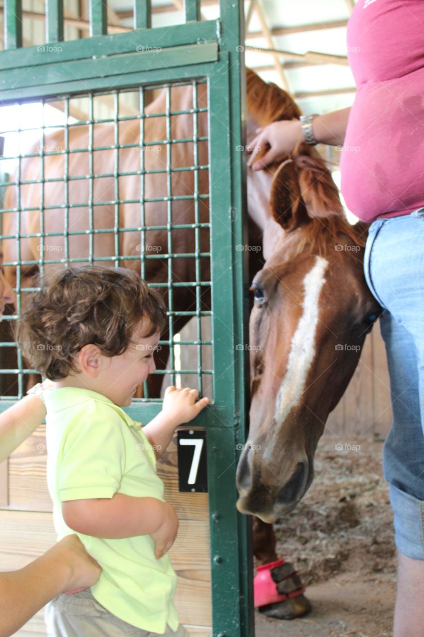 cutest pet in the world