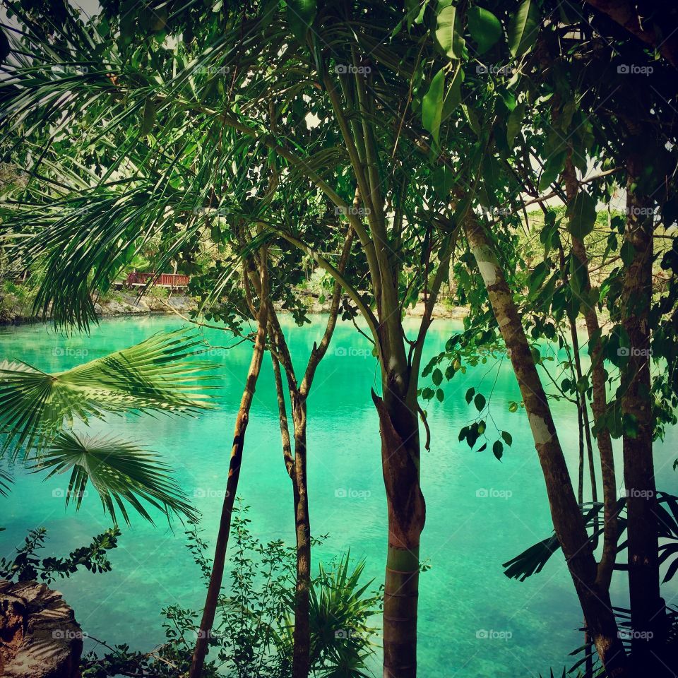 A tropical aqua lagoon in Cozumel, Mexico. 