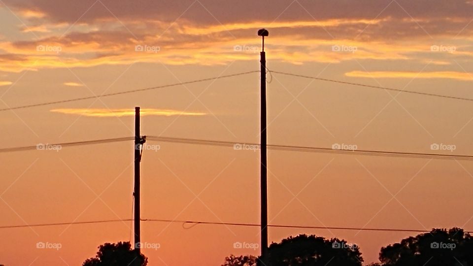 sunset and powerlines