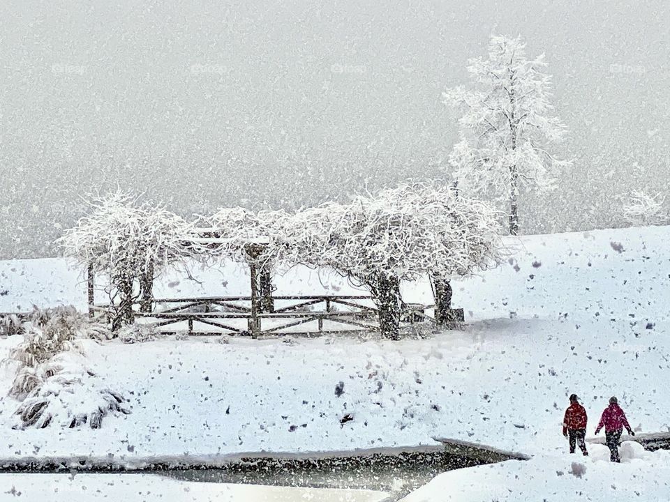 Beautiful winter scene