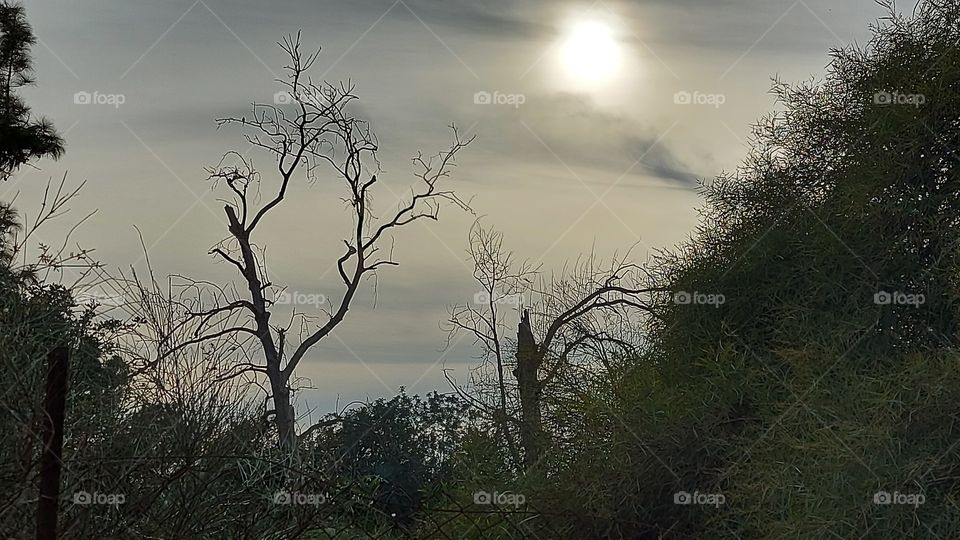 Sun between the clouds