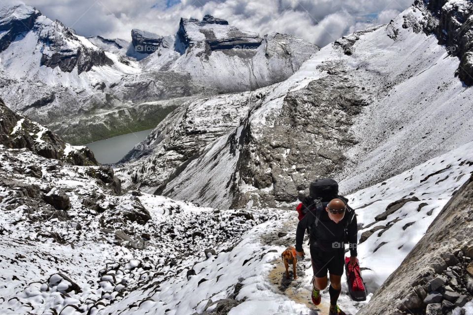 hiker with dog, swiss alps in summer. 