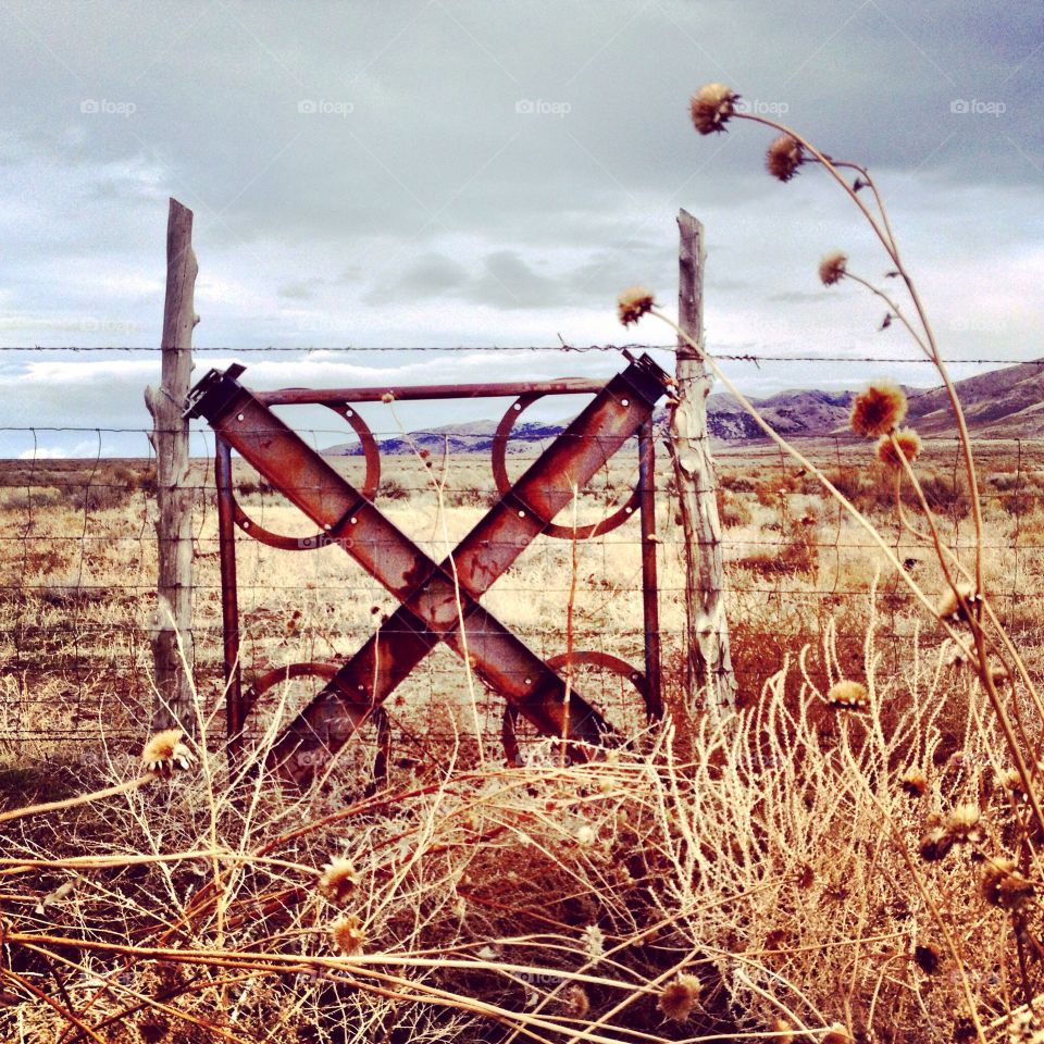 Gate. A gate in the desert 