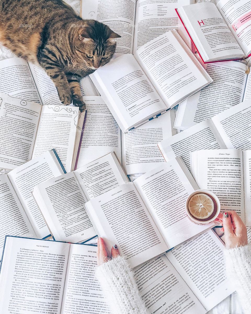 White photo. A lot of books with cat and woman’s hand