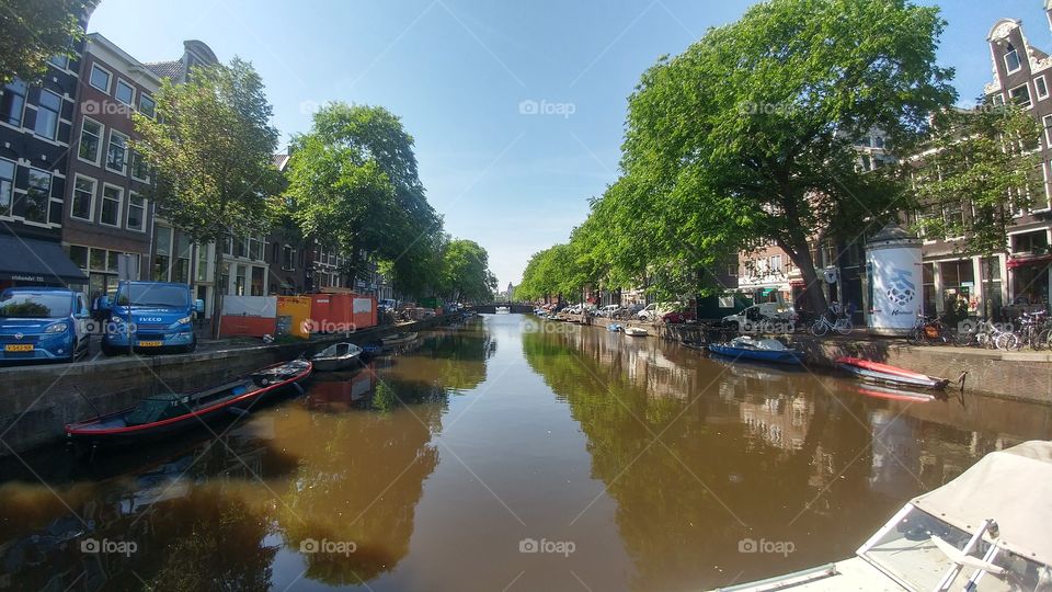 Amsterdam's Watery World