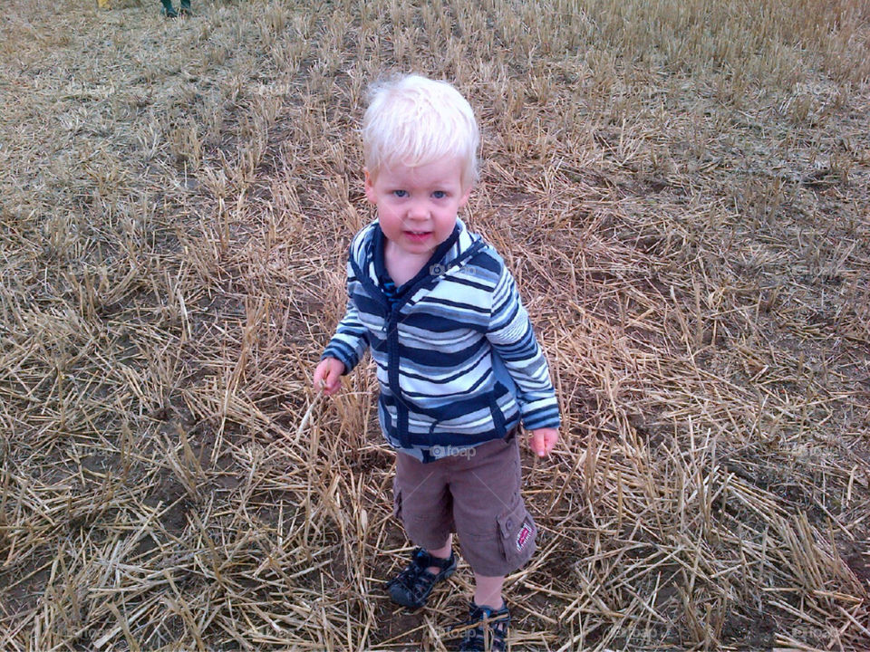 Youngster in harvested corn field