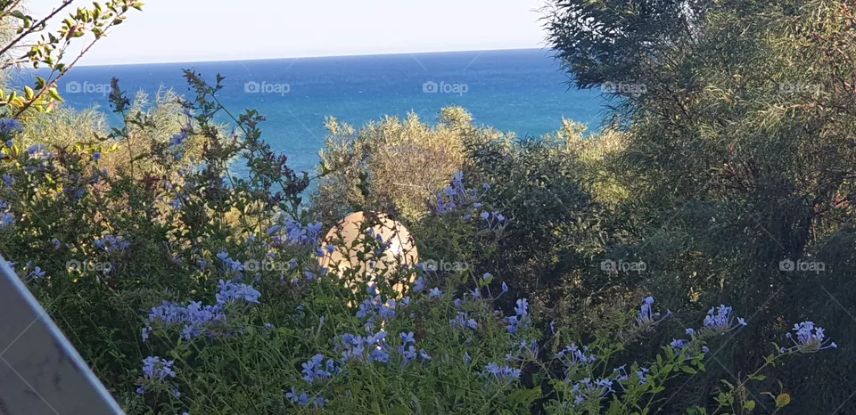 nature