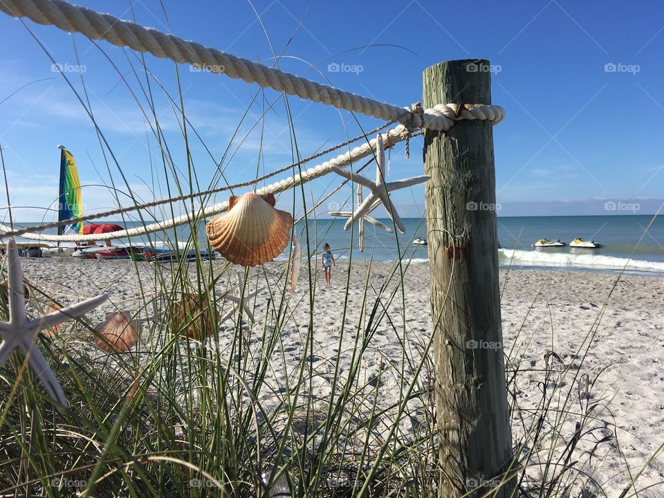 Shell fence with view
