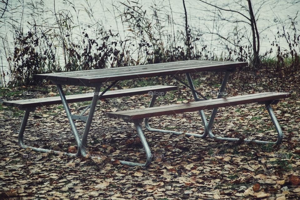 Bench during autumn