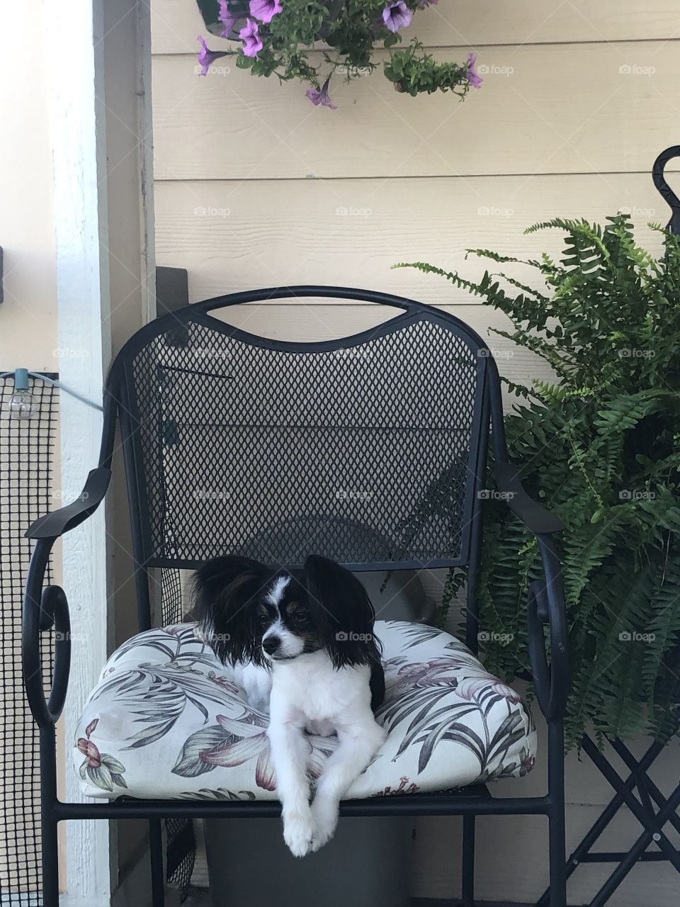 Porch sitting