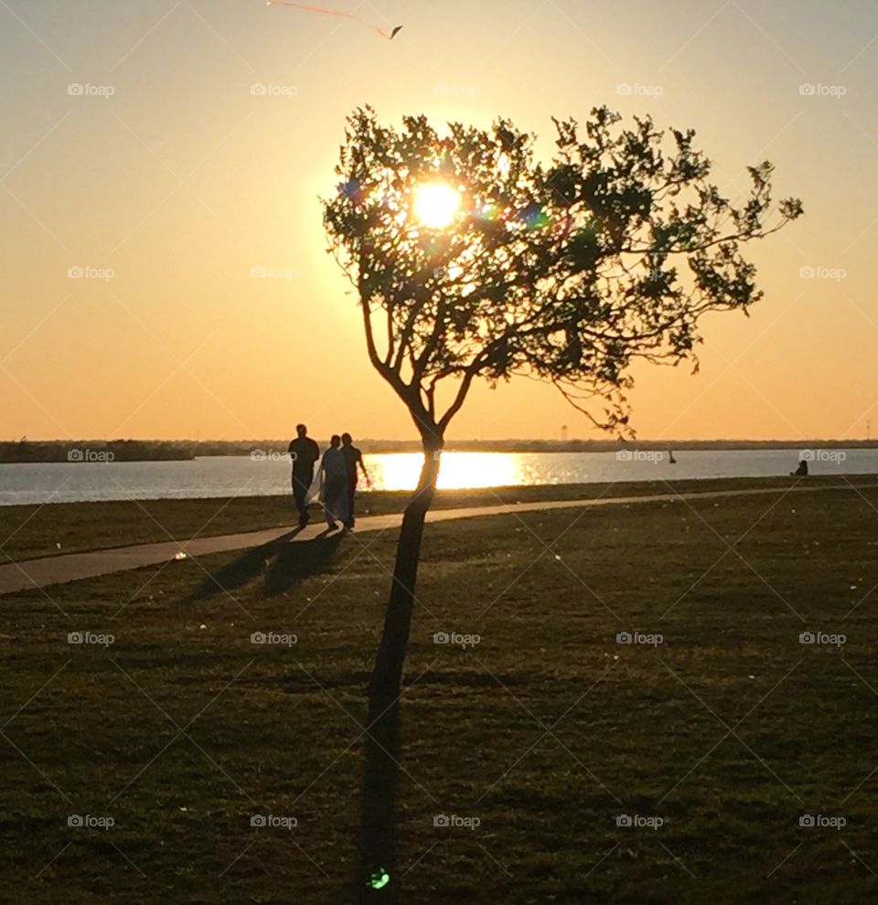 Strolling Along the Lake Beach 