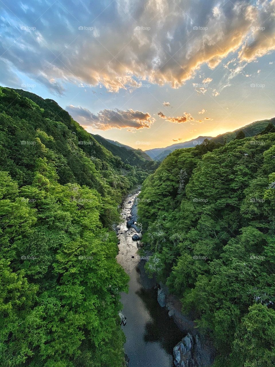Setting sun coloring clouds yellow and orange with river flowing below, luscious green trees on either side.