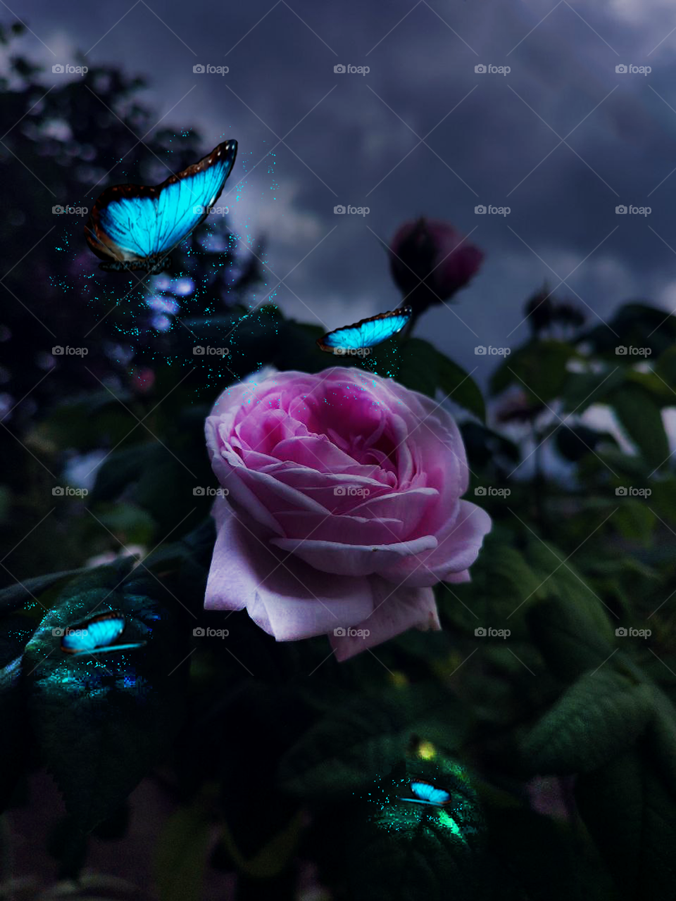 Macro photo of flower growing in the garden