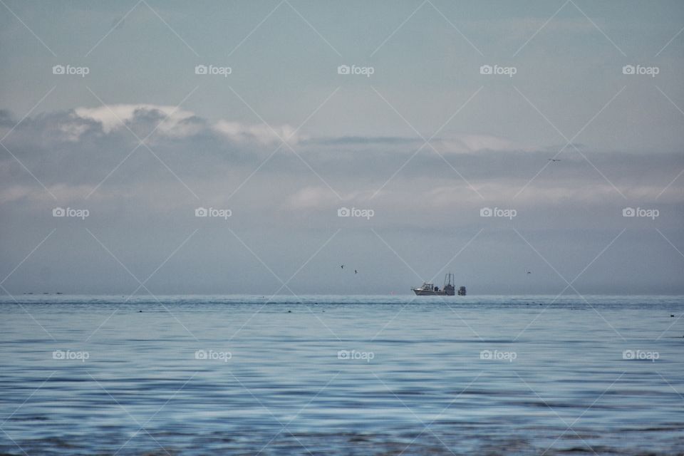 Fog bank obscuring mountain