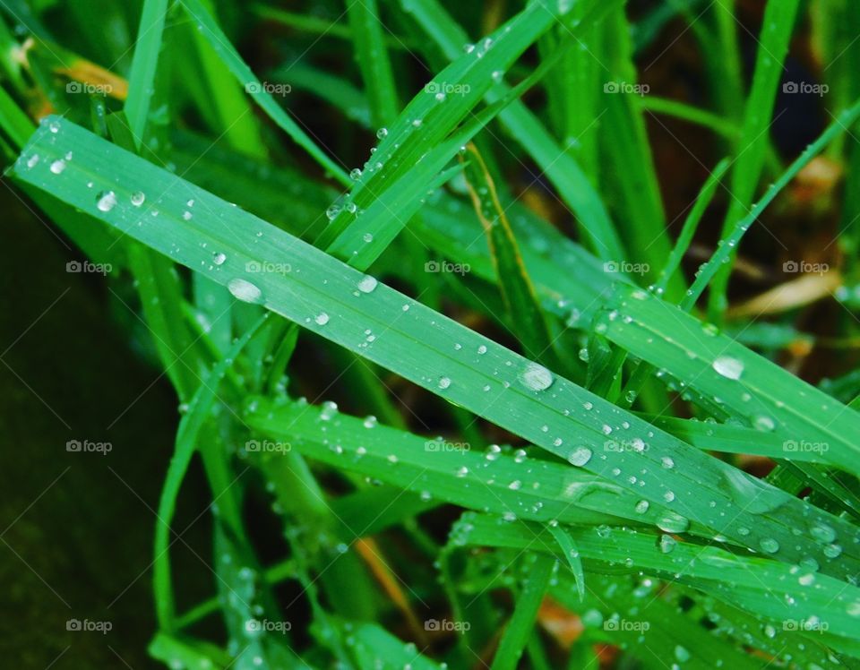 Beautiful Macro Shots