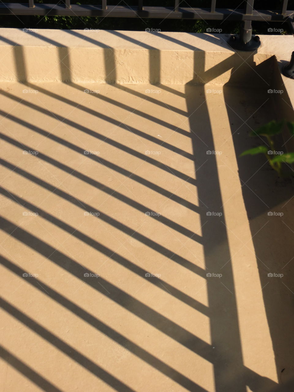 sunlight on my balcony