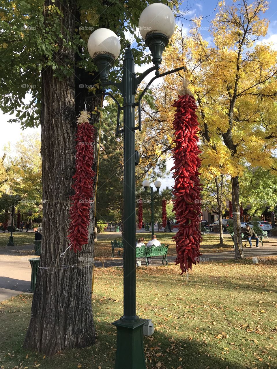 A beautiful Fall evening on the Plaza in Santa Fe, New Mexico, with hanging chilis