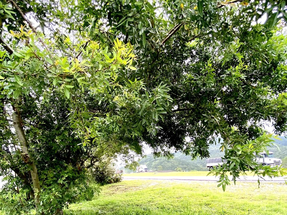 Paths that transmit peace.