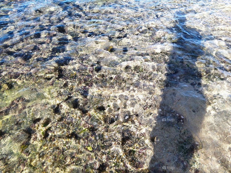 Shadow and water