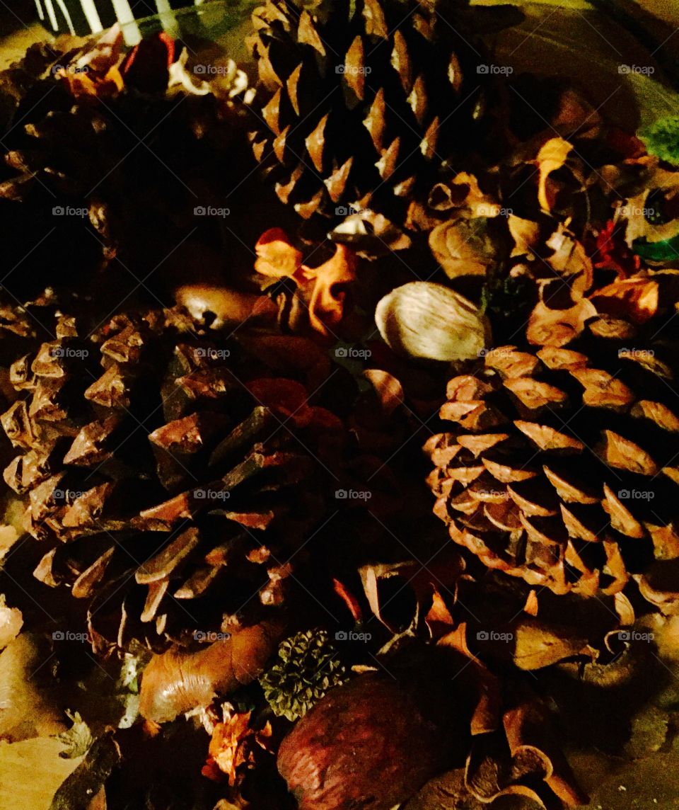 Pine cones and potpourri 