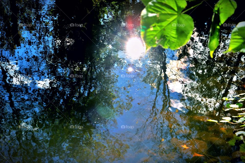 Gorgeous reflection of the the water. we the sun, trees, clouds and a leaf seem to be placed perfectly. So perfect it could be a painting.