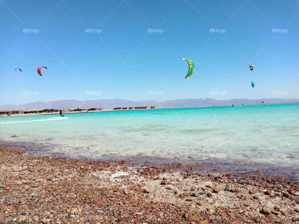 Laguna kite