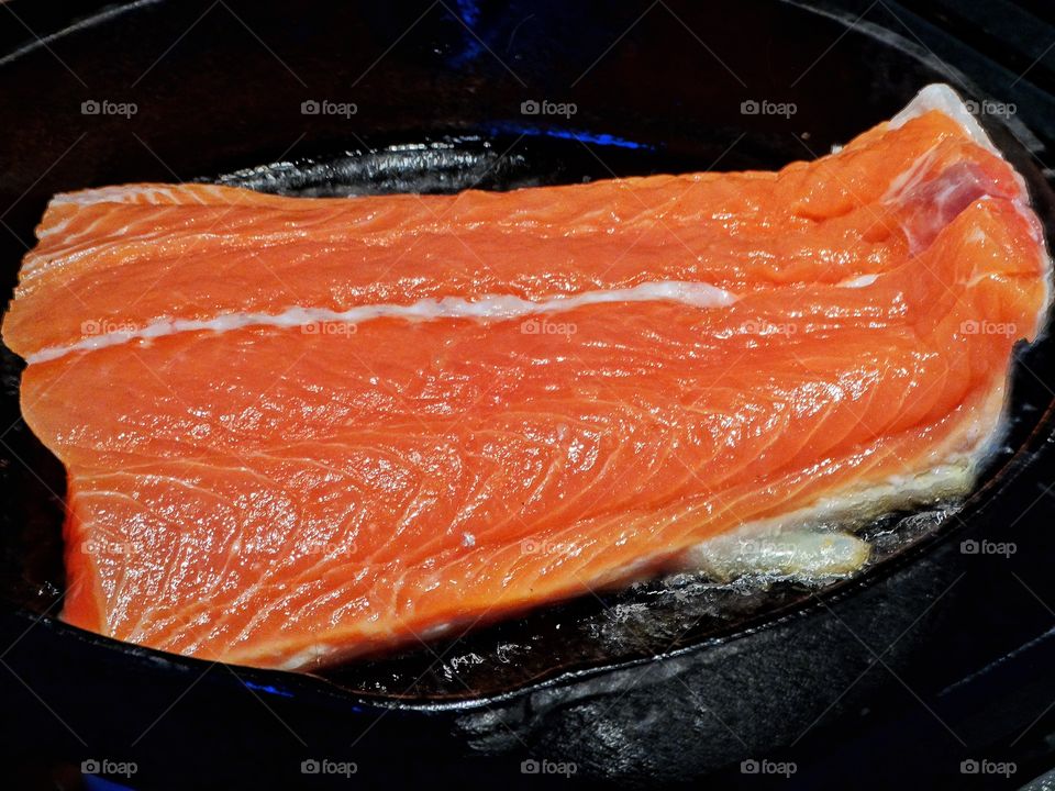 salmon