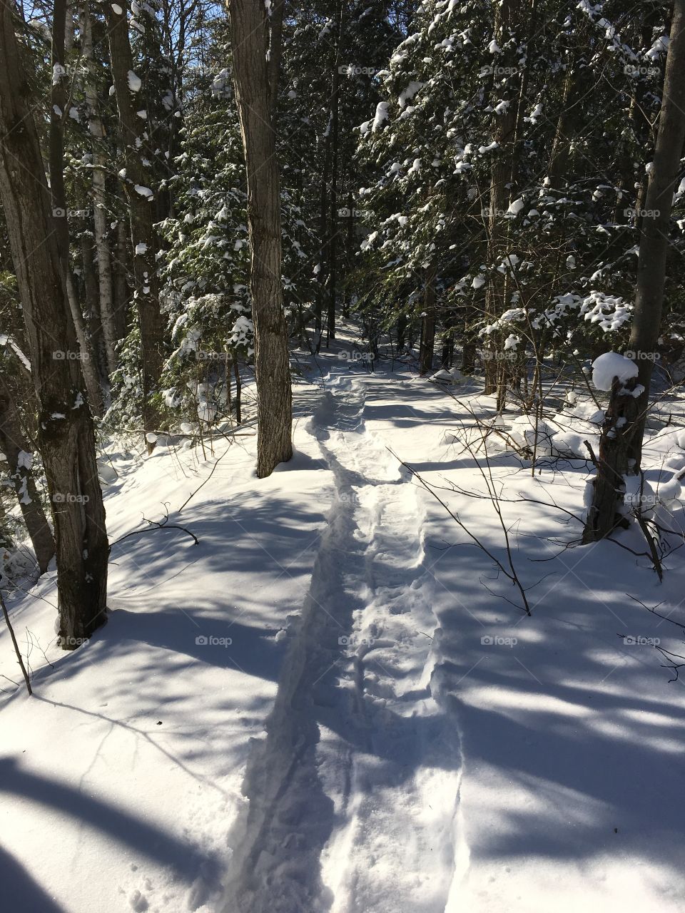 snow shoe trail nice shadows bright sunny day