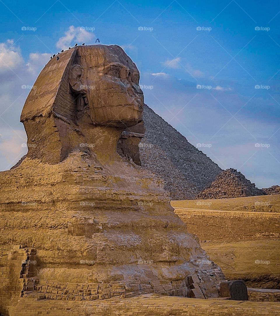 portrait of Sphinx, pyramids, Egypt 🇪🇬