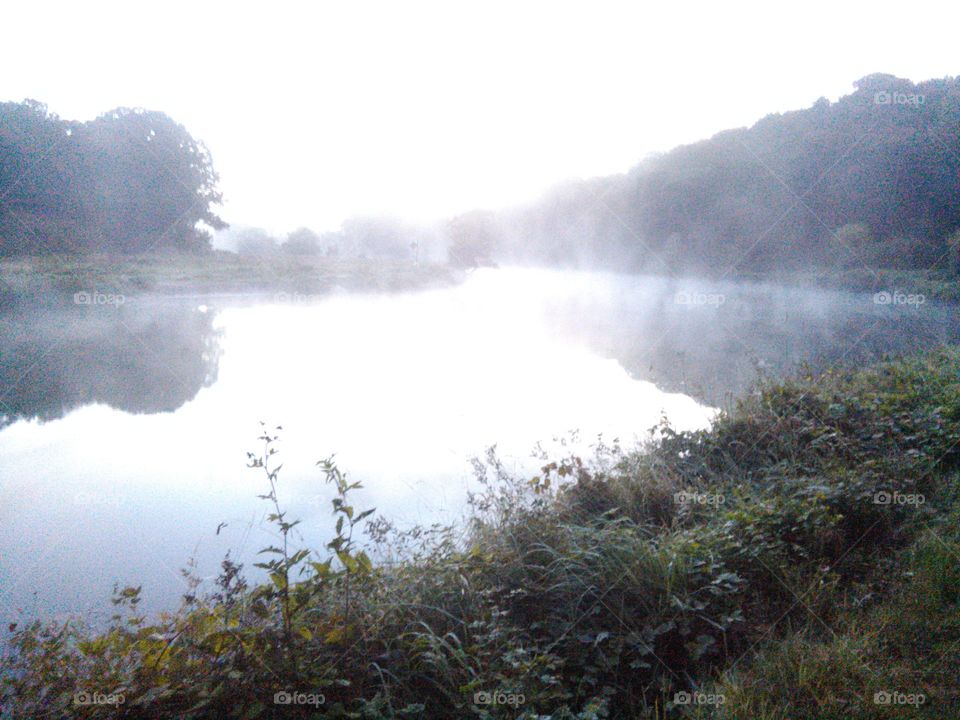 fog on the water. fog on the river barrow ireland