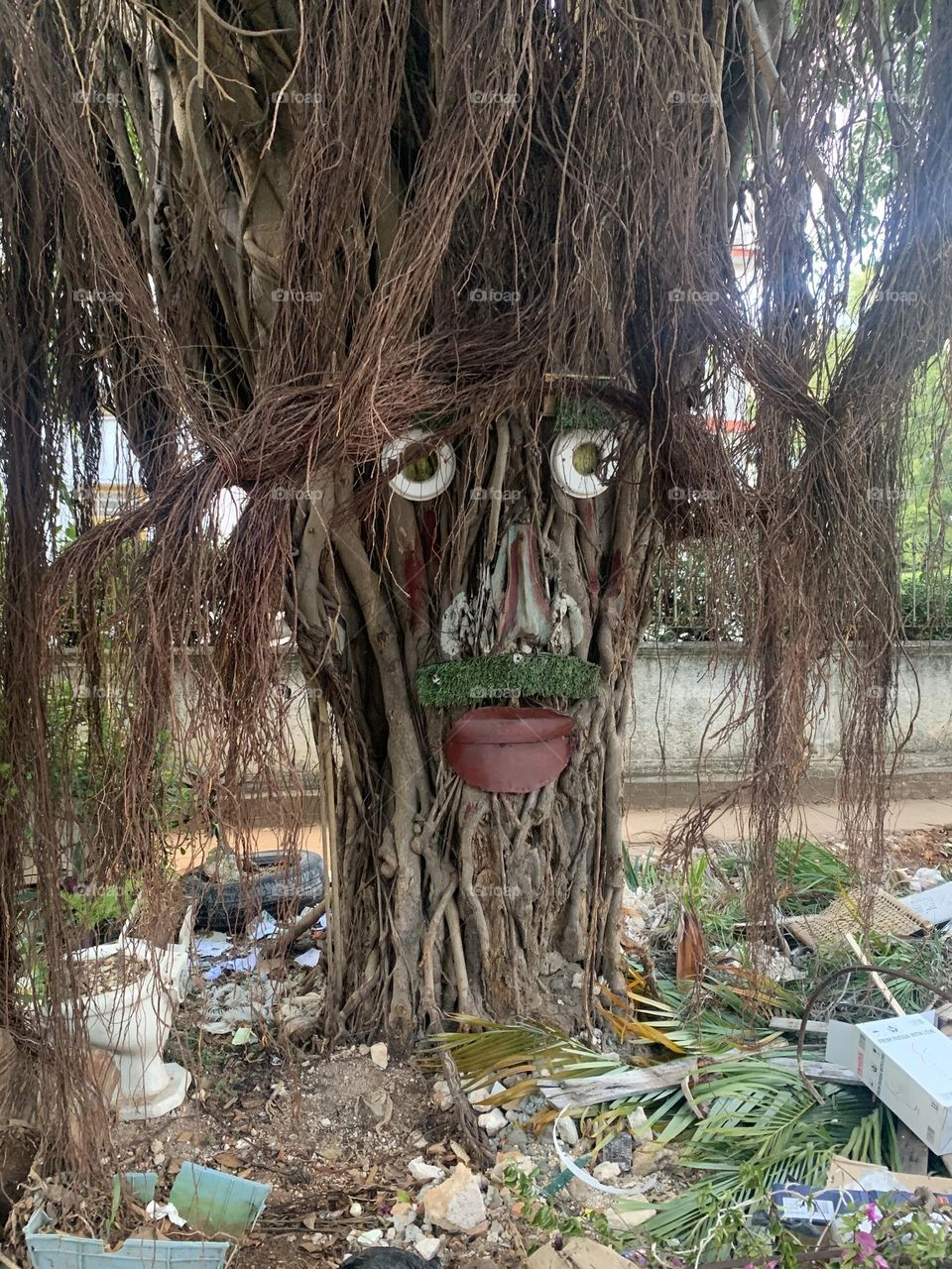 Street art in Havana 