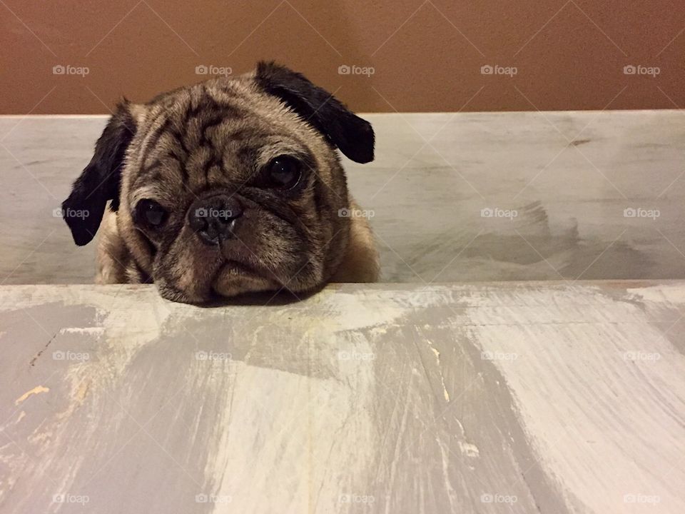 What’s for Dinner?