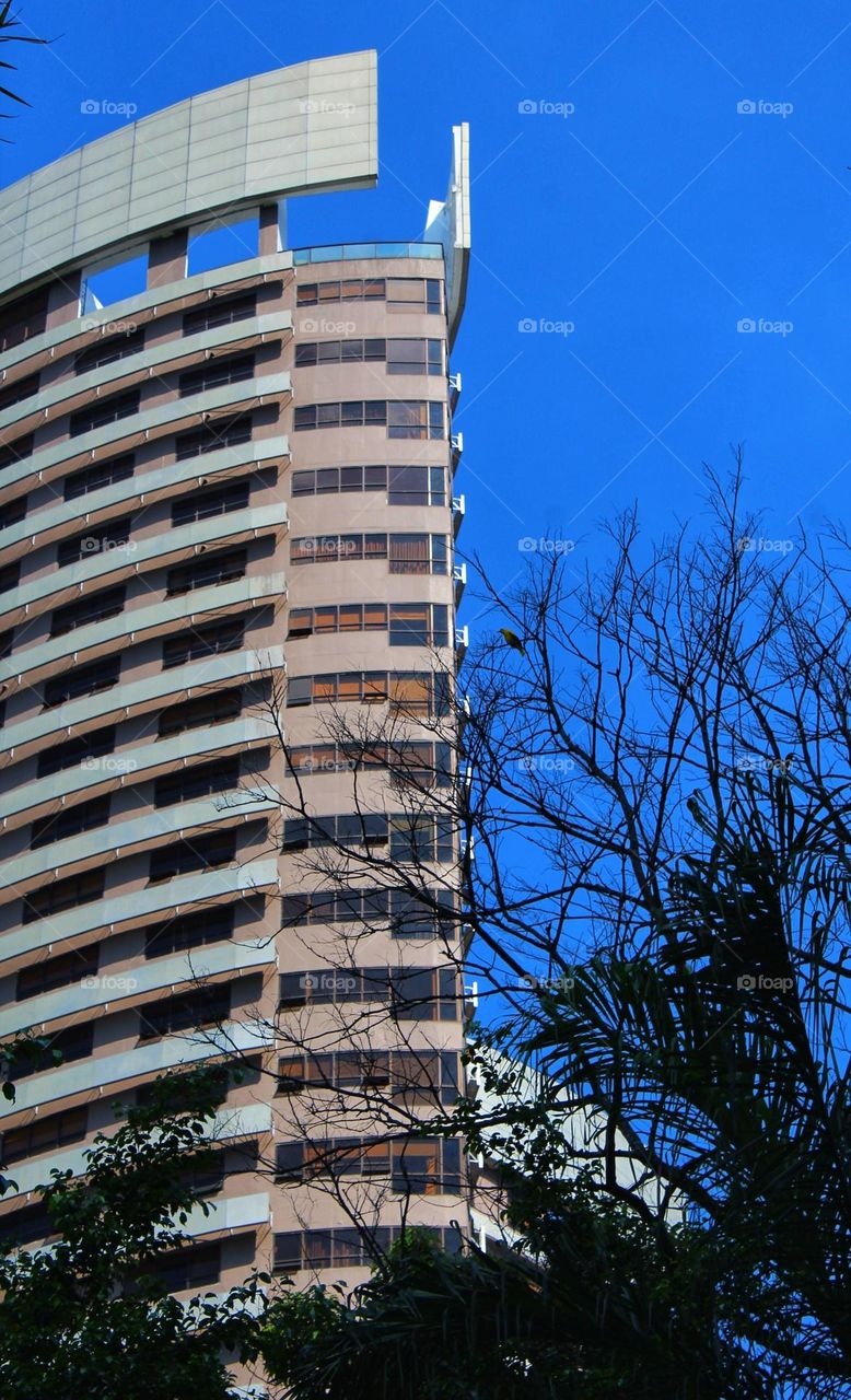 A  buidling and You.