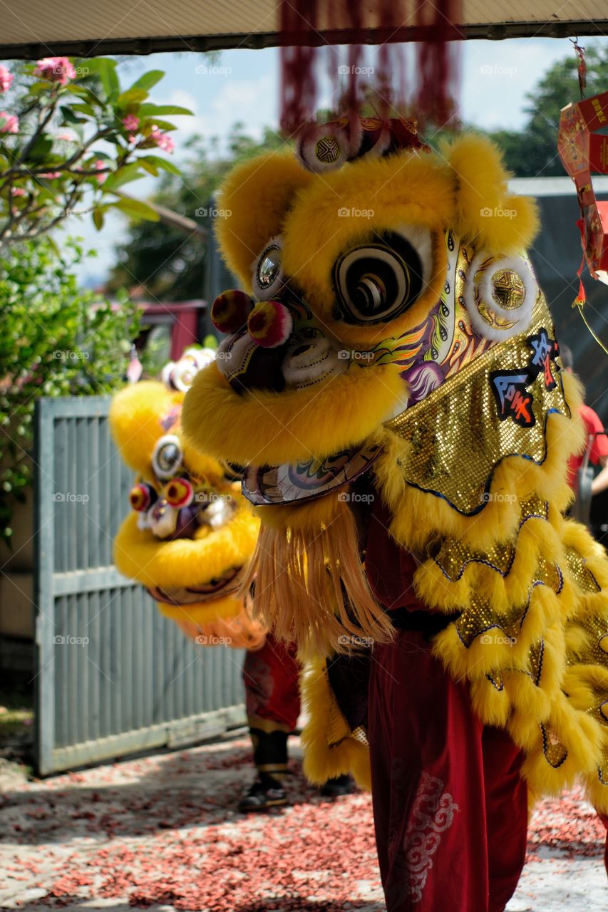 Chinese Lion Dance