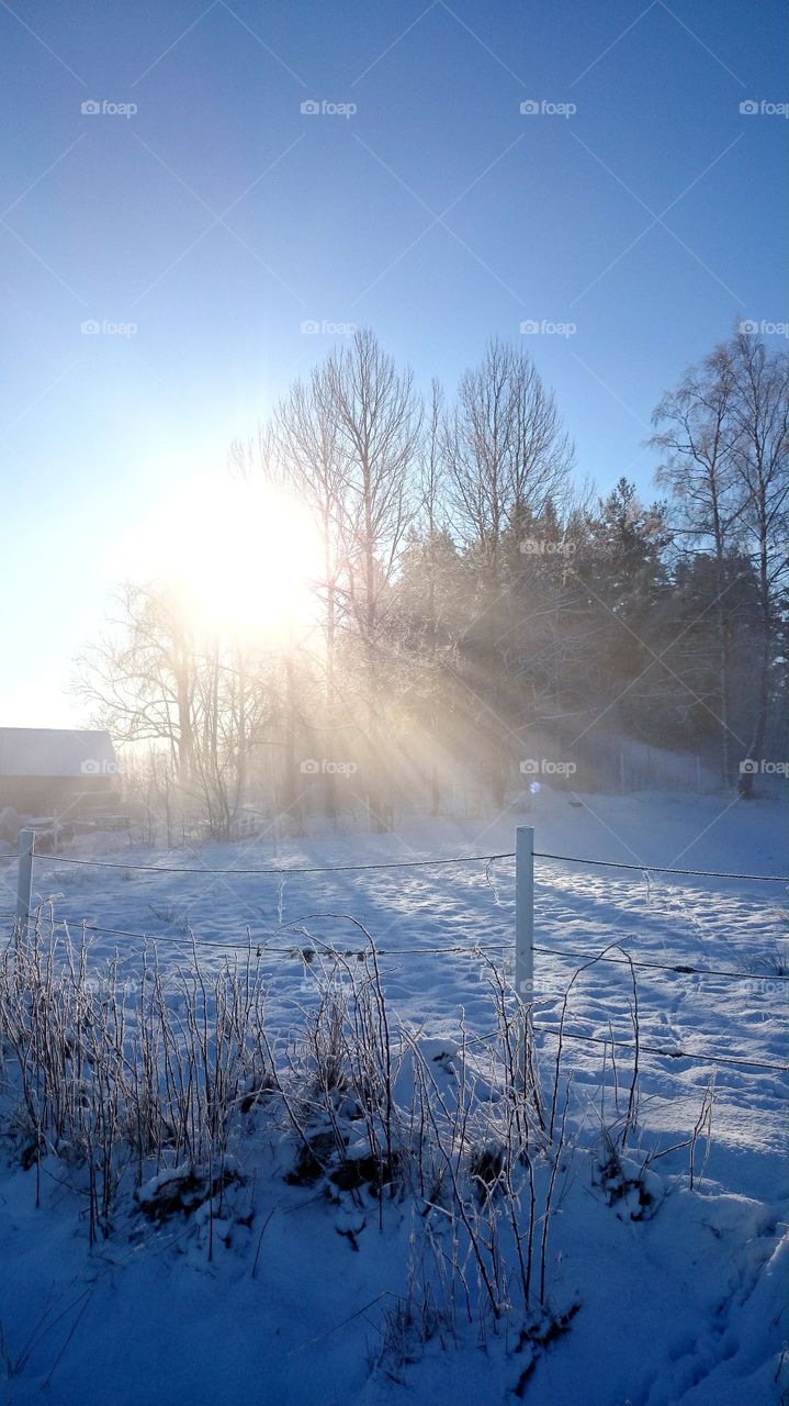 A beautiful winterday with sunrays