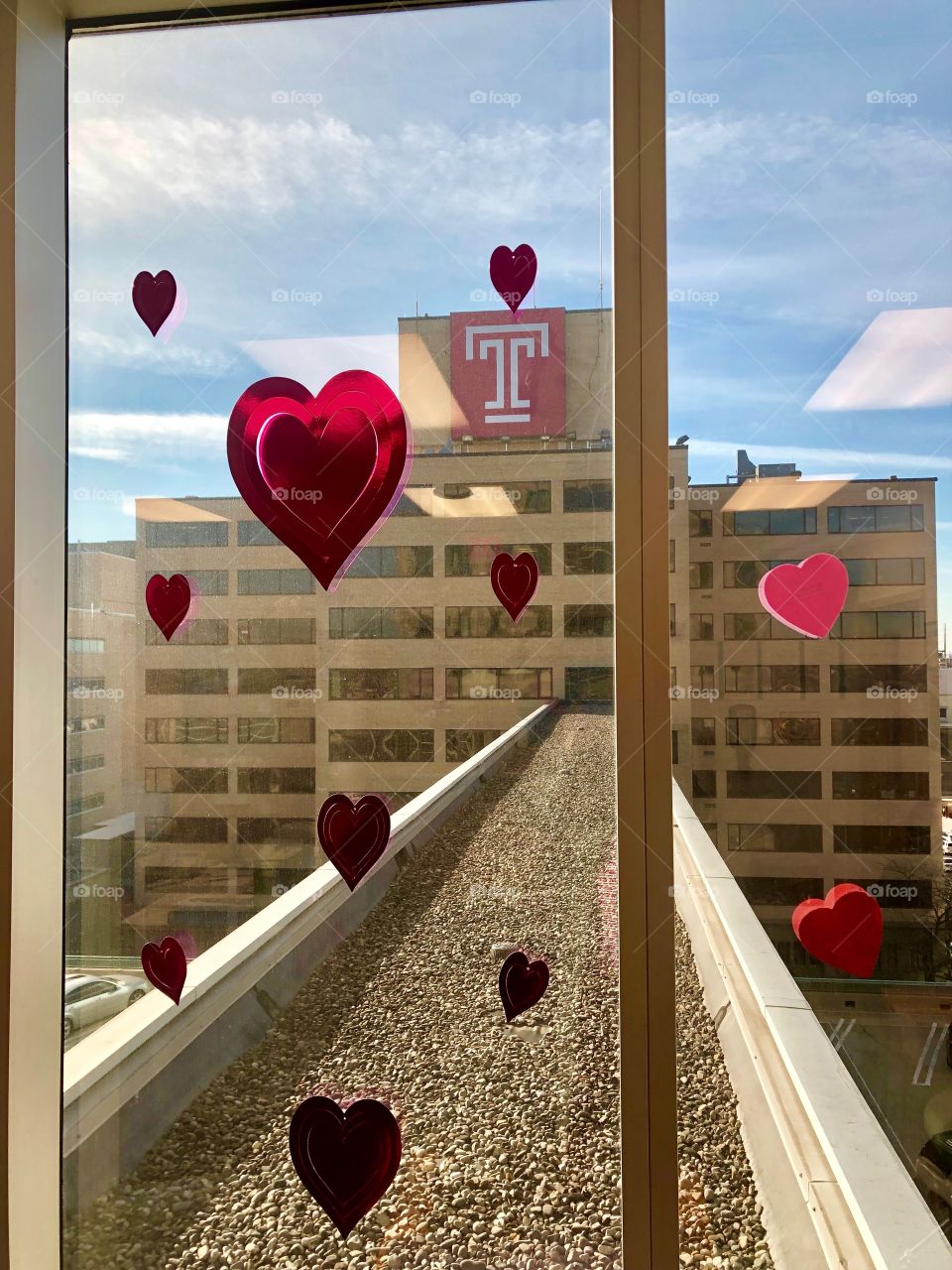 Looking out the window of temple university...Mina 1017